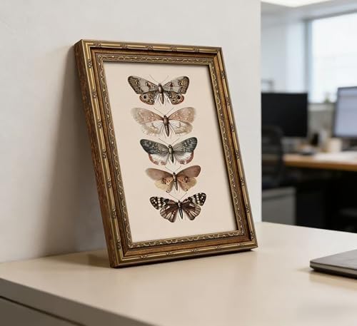Vintage Gold Framed Butterfly Canvas Wall Art, Retro Moody Moth Painting - Image 5