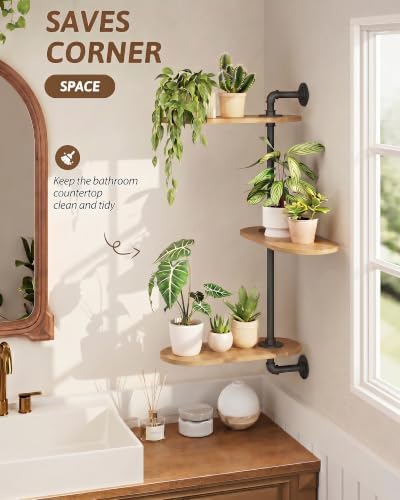 GENTINGBRO Window Plant Shelves 3-Tier Rotating Plant Stand Natural - Image 4