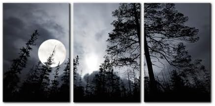 Pacimo 3 Pieces Framed Wall Art Decorations Dark Forest Night Landscape by Pacimo
