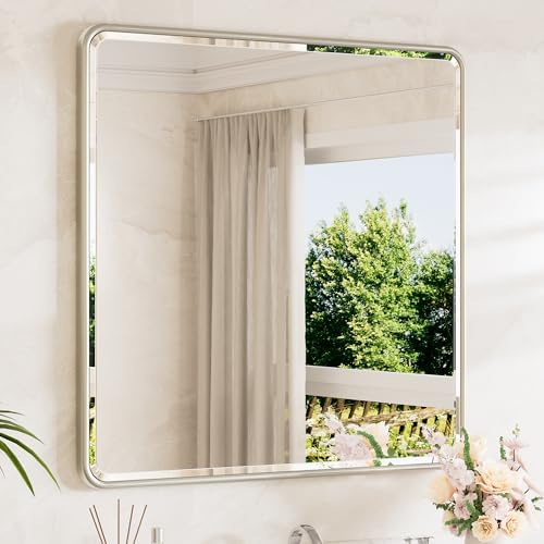 TETOTE Brushed Nickel Vanity Mirror by TETOTE
