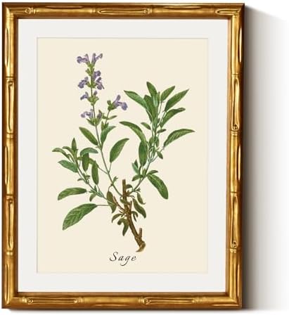 InSimSea Gold Bamboo Framed Wall Art, Vintage Sage Herbs Prints by InSimSeaArt