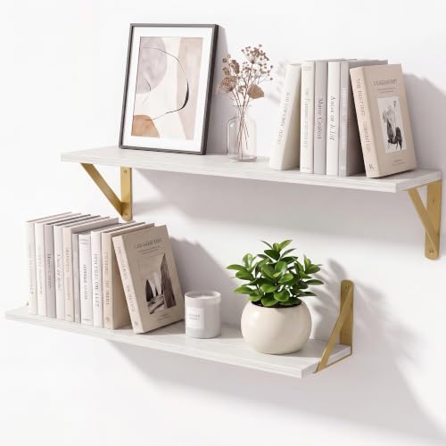 White Shelves for Wall 6 Inch Deep, 24x6 Set of 2 by Unknown