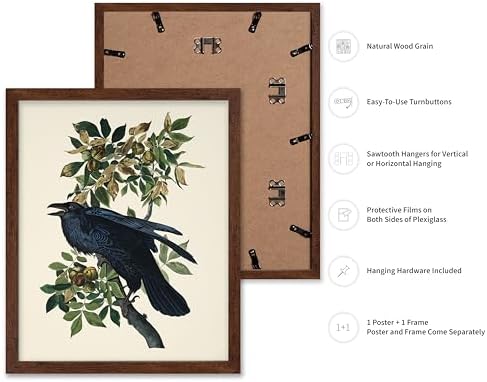 Poster Master Vintage John James Audubon Poster - Image 2