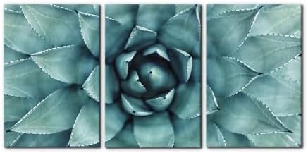 Pacimo 3 Pieces Canvas Wall Art Succulent Centre Pictures Prints Giclee Poster by Pacimo