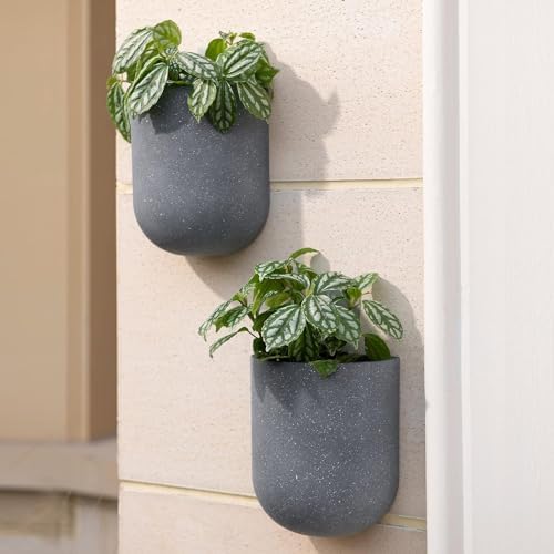 LA JOLIE MUSE Wall Planters for Indoor Plants, Hanging Flower Pots, 2 Pack - Image 5