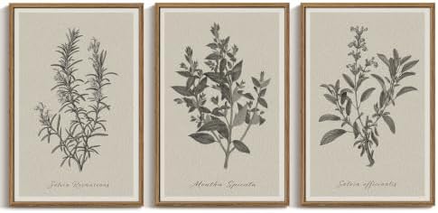InSimSea Large 3 Pieces Botanical Wall Art, Vintage Herb Canvas Prints by InSimSeaArt