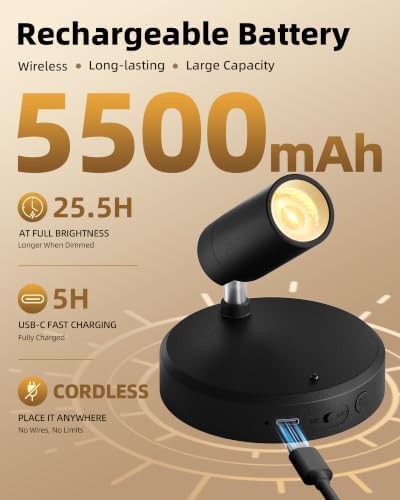 EZVALO Indoor Spotlights, Picture Lights - Image 2
