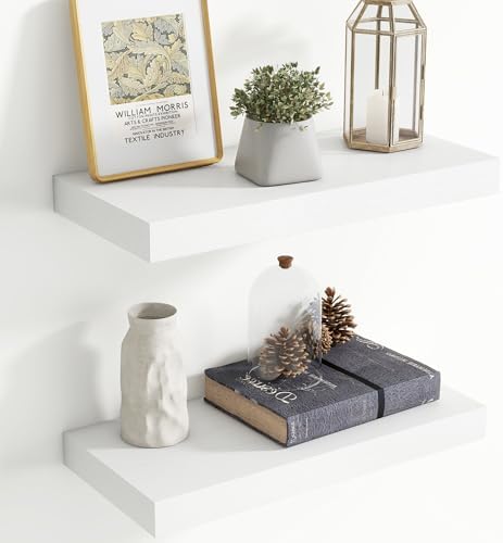 20 Inch Floating shelves for Wall, 8 Inch Deep, Invisible Brackets by Axeman