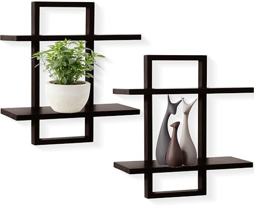 Floating Shelves for Wall, Decorative Wall Shelves, Plants Shelf Framed by PHOENANCEE