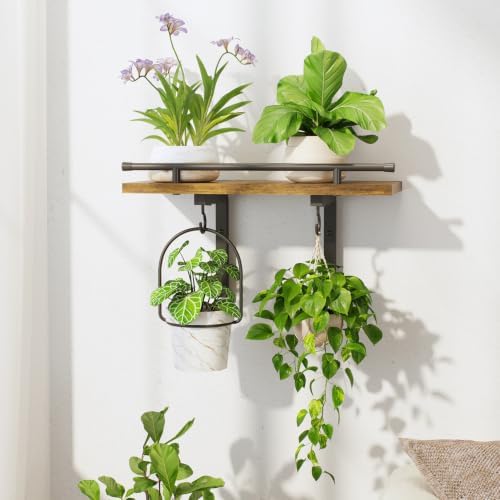 LASZOLA Wall Plant Shelves Floating Hanger Holder Indoor by LASZOLA