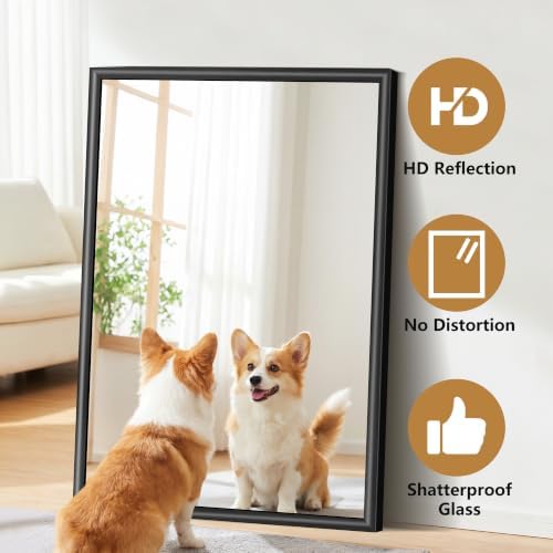 FORBATH Bathroom Mirror for Over Sink, 30x40 Inch Black Vanity Mirror - Image 4