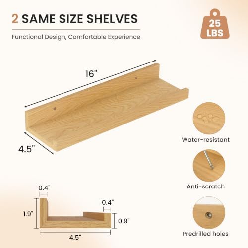 Dreamland Picture Ledge Shelf for Wall, Floating Shelves Set of 4, 16 inch Long - Image 3