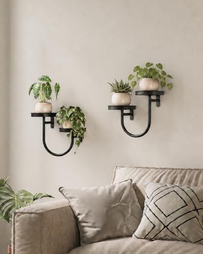 Bamworld Wall Planters for Indoor Plants Metal Wall Plant Holder Plant Wall by Bamworld