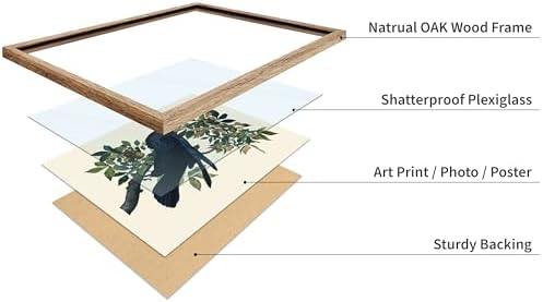 Poster Master Vintage John James Audubon Poster - Image 4