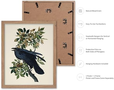 Poster Master Vintage John James Audubon Poster - Image 2
