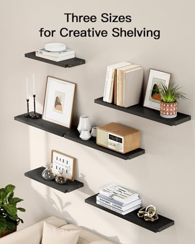 Amada Solid Paulownia Wood Wall Shelves, Medium Size - Image 4