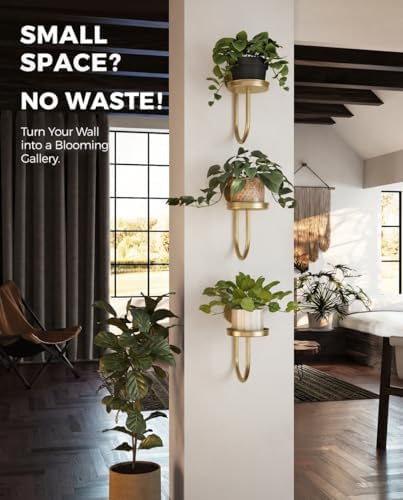 Bamworld Wall Plant Holder for Hanging Planters - Image 4