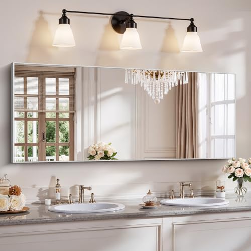 YIROMAN Bathroom Mirror 24"x60", Brushed Silver Bathroom Mirror by Unknown