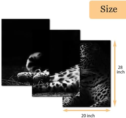 Pacimo Animals Wall Art Set of 3 - Image 4
