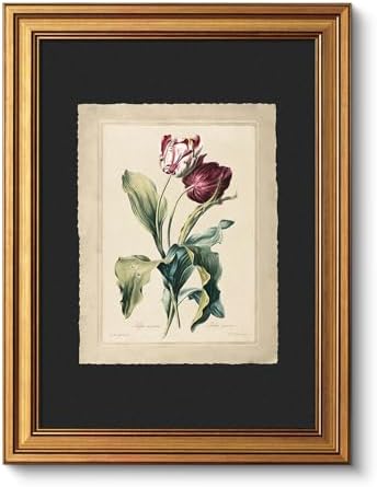 VIYYIEA Vintage Gold Framed Wall Art, Aesthetic Botanical Red Tulip Canvas by VIYYIEAART