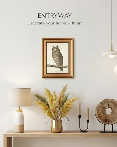 VIYYIEA Vintage Gold Framed Owl Wall Art, 10L x 8W - Image 6