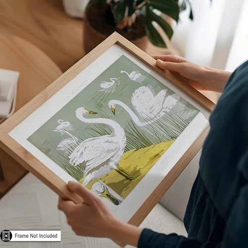 Poster Master Vintage White Wild Swans Poster - Image 5