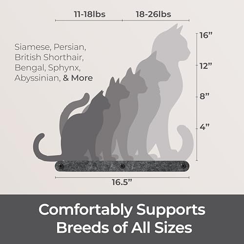 Cat Wall Shelf - Indoor & Outdoor by Pryde Pets - Image 6