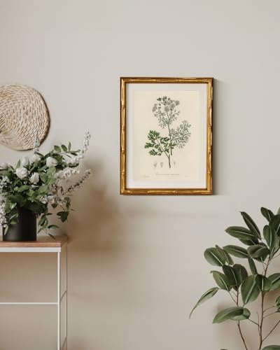 InSimSea Gold Bamboo Framed Wall Art, Plants Fern Botanical Prints - Image 5
