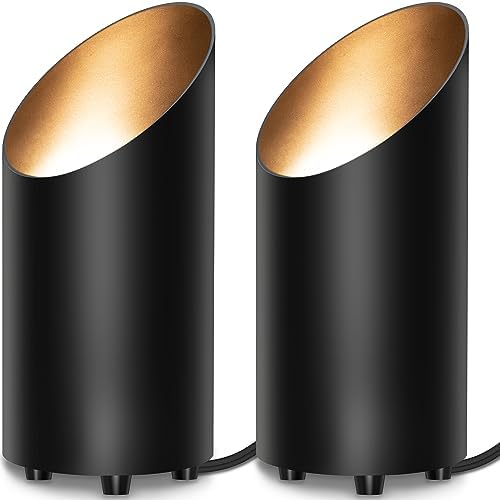 SUNVIE 2 Pack Up Lights Indoor Floor Can Light Uplighting Indoor Spotlight by SUNVIE