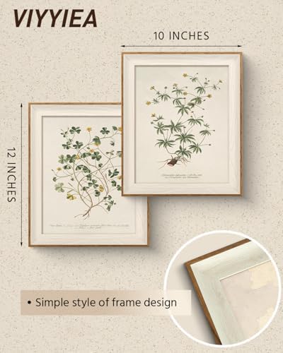 VIYYIEA Framed Minimalist Botanical Leaf Botanical Wall Art Set, 10×12 Inch - Image 5