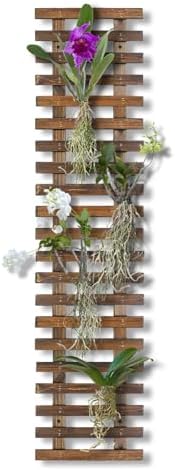 Mulctun Wall Planters by Unknown