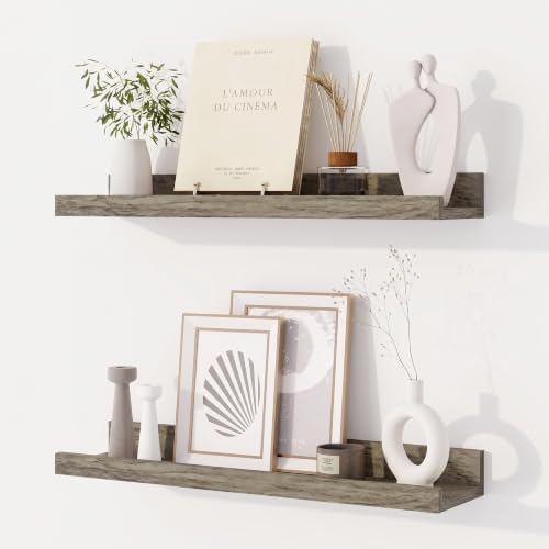 Dreamland Picture Ledge Shelf for Wall, Floating Shelves Set of 2, 20 inch Long by Dreamland