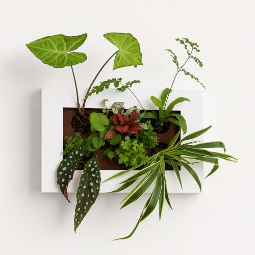 FRESH SPEED Self-Watering Wall Planters - Image 3