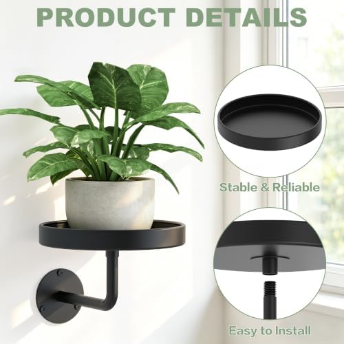 Wall Plant Holder, 6.3 Inch Metal Plant Hanger Indoor Wall Planter, Wall - Image 5
