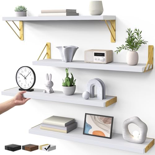 BAYKA 22.4 in Long Wall Mounted Floating Shelves by Bayka