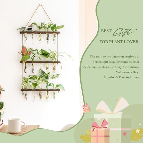 Mkono Plant Propagation Station, 3 Tier Brown Wall Hanging Vase Test Tubes - Image 3