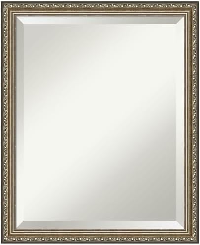 Amanti Art Silver Wall Mirror 22x18 Wood Framed Small Mirror by AmantiArt