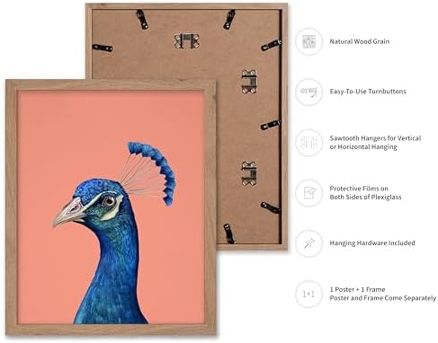 Poster Master Peacock Print - Image 2