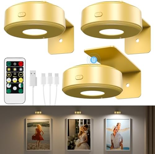 3 Pcs Picture Lights, Rechargeable Battery Operated Dimmable 3-Color Wall Light by Unknown