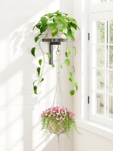 iDavosic.ly Wall Plant Holder by iDavosicly