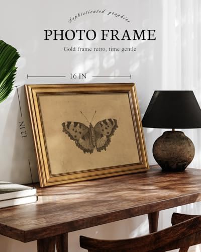 VIYYIEA Vintage Gold Framed Wall Art, Moody Butterfly Artwork, 12X16 Inch - Image 5
