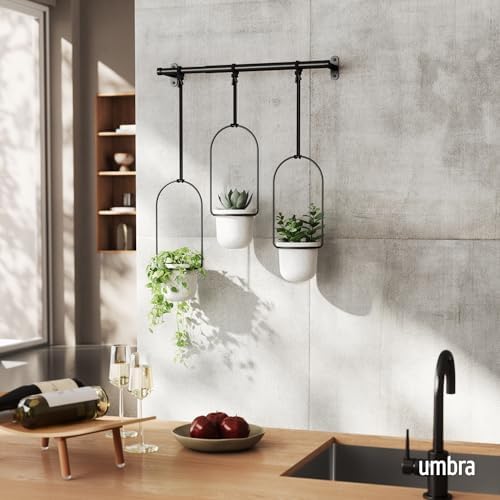 Umbra Triflora Hanging Planter, Indoor Herb Garden - Image 2