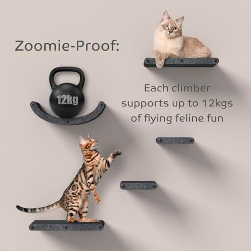 Cat Wall Shelves - Image 7
