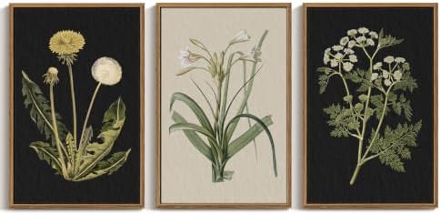 InSimSea Large 3 Pieces Botanical Wall Art, Vintage Flora Canvas Prints by InSimSeaArt