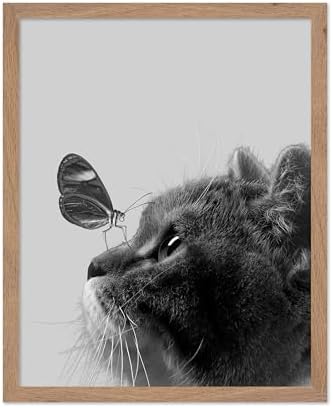 Poster Master Butterfly on Cat Print by PosterMaster