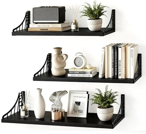 SRIWATANA Black Bridge Floating Shelves by SRIWATANA