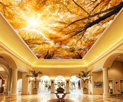 Warm Golden Autumn Tree Canopy Sun Glow Wallpaper Peel Stick by Cliouar