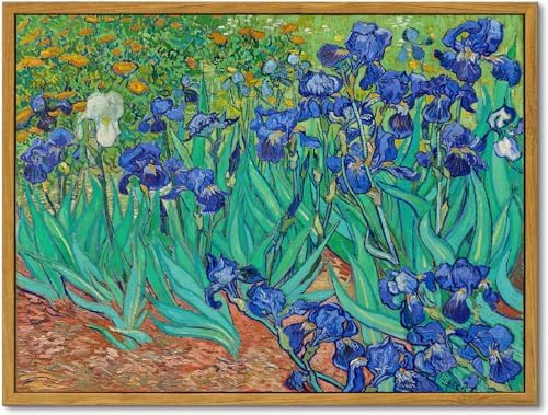 KBKBART Van Gogh Irises Framed Wall Art, Abstract Flower Canvas Wall Decor by KBKBART