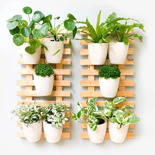 ShopLaLa Wall Planter for Plants Wooden Hanging Planters by ShopLaLa