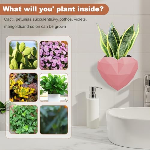 Heart-Shaped Self-Watering Wall Planter - Image 7